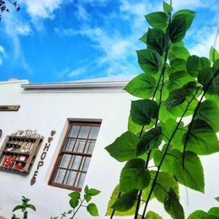 Worcester Gallery Cottage Екстер'єр фото